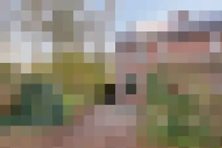 Nijstukken 110 Assen thumbnail 48