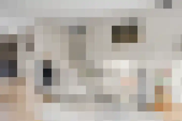 Nijstukken 110 Assen thumbnail 5