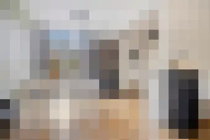 Nijstukken 110 Assen thumbnail 6