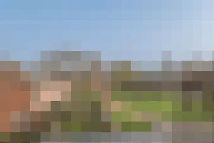 Nijstukken 118 Assen thumbnail 37