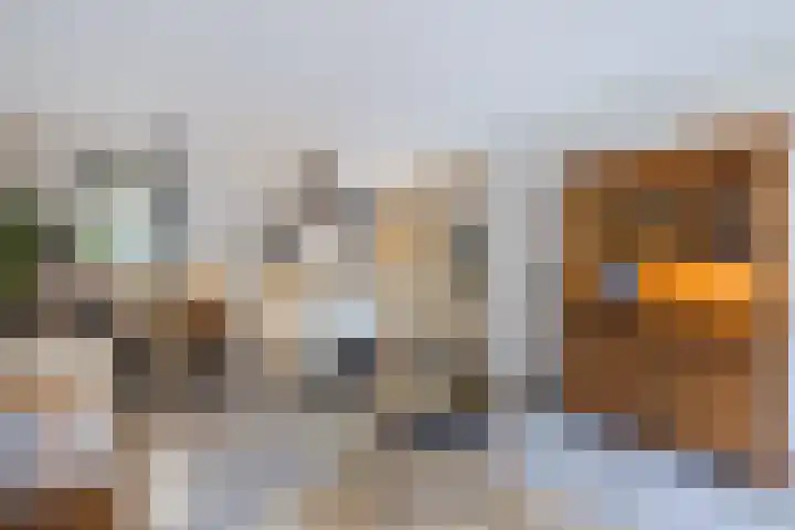 Nijstukken 12 Assen thumbnail 12