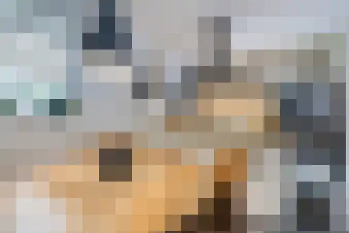 Nijstukken 12 Assen thumbnail 13