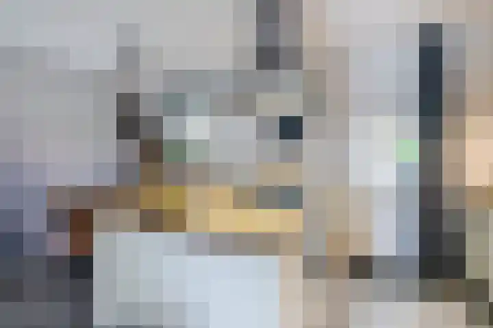 Nijstukken 12 Assen thumbnail 15