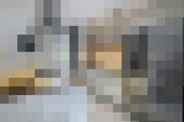 Nijstukken 12 Assen thumbnail 16