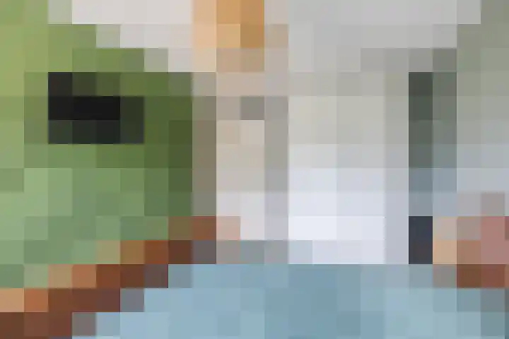 Nijstukken 12 Assen thumbnail 26