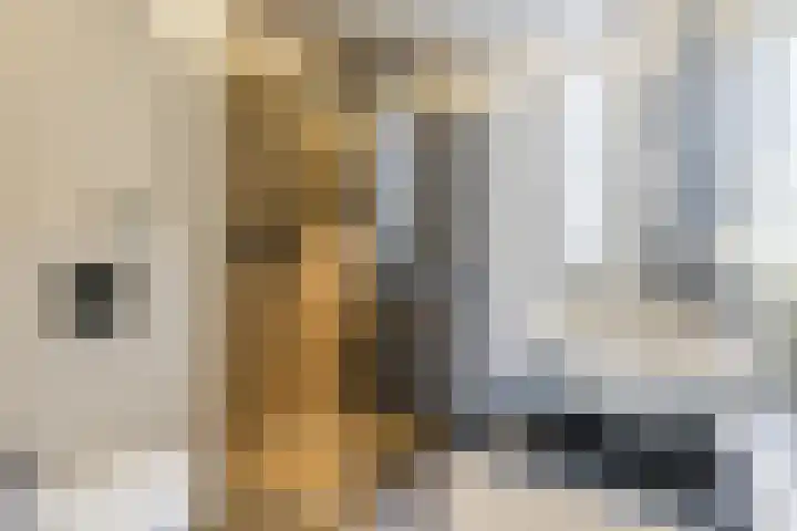 Nijstukken 12 Assen thumbnail 27