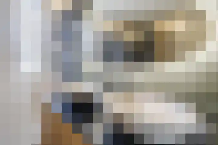 Nijstukken 12 Assen thumbnail 28