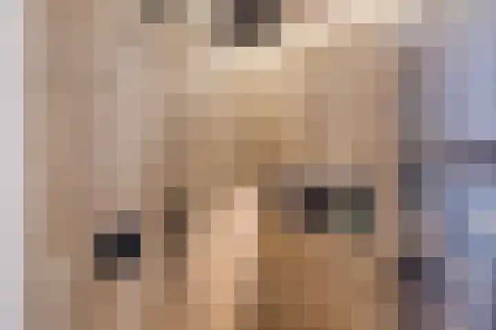 Nijstukken 12 Assen thumbnail 29