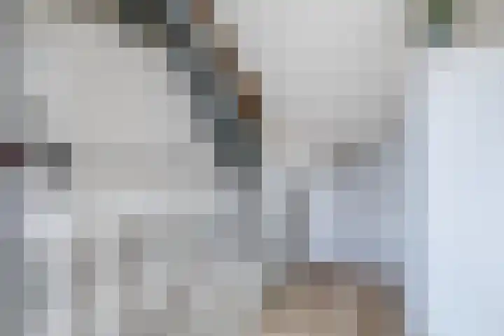 Nijstukken 12 Assen thumbnail 31