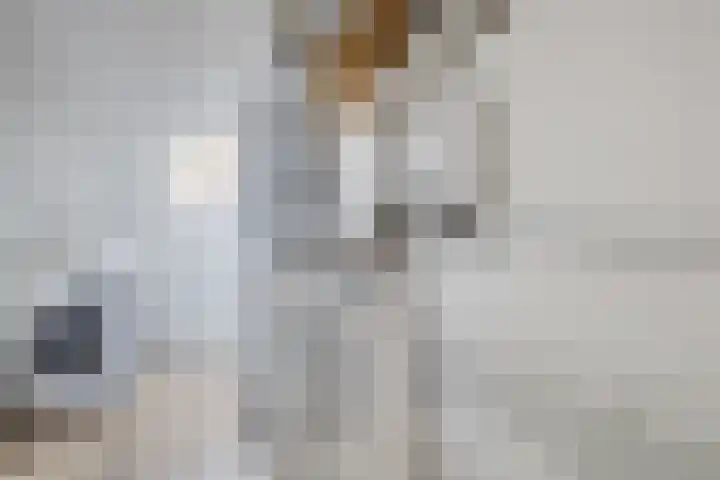 Nijstukken 12 Assen thumbnail 32
