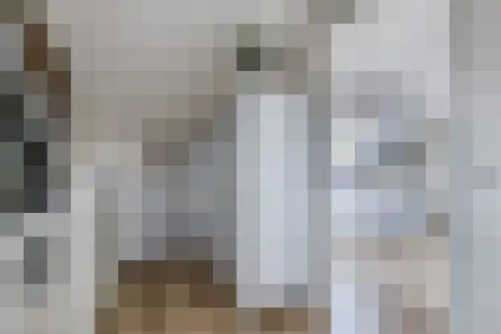 Nijstukken 12 Assen thumbnail 34