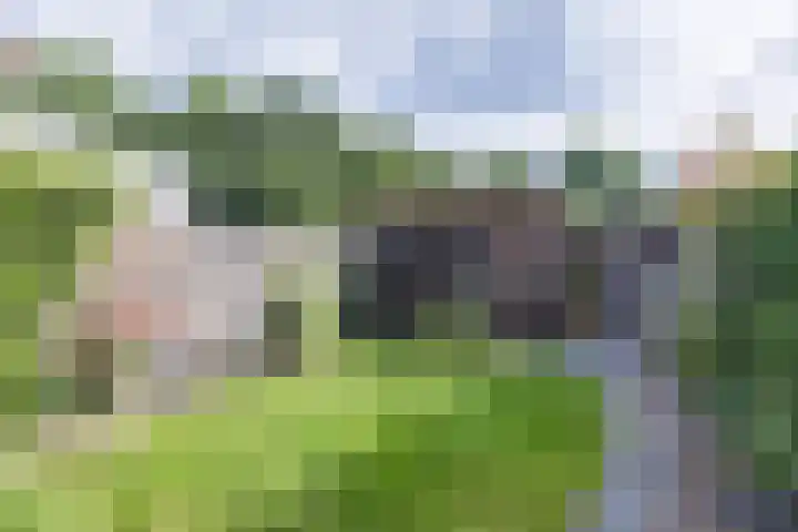 Nijstukken 12 Assen thumbnail 39