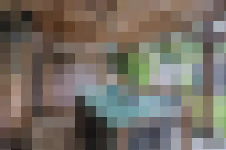 Nijstukken 12 Assen thumbnail 41