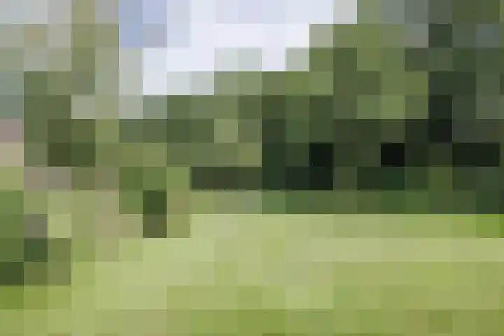 Nijstukken 12 Assen thumbnail 46
