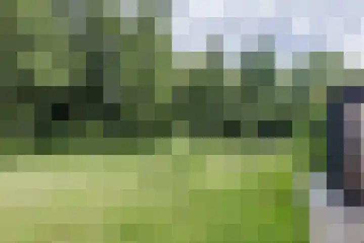 Nijstukken 12 Assen thumbnail 47