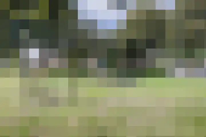 Nijstukken 12 Assen thumbnail 48