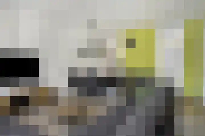 Nijstukken 130 Assen thumbnail 11