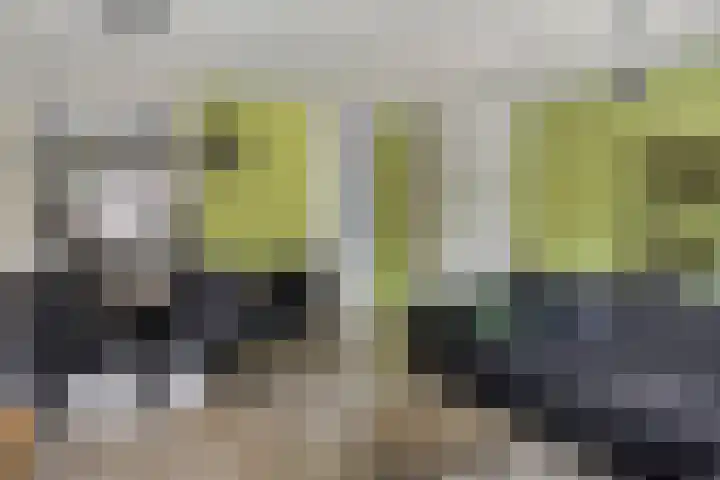 Nijstukken 130 Assen thumbnail 12