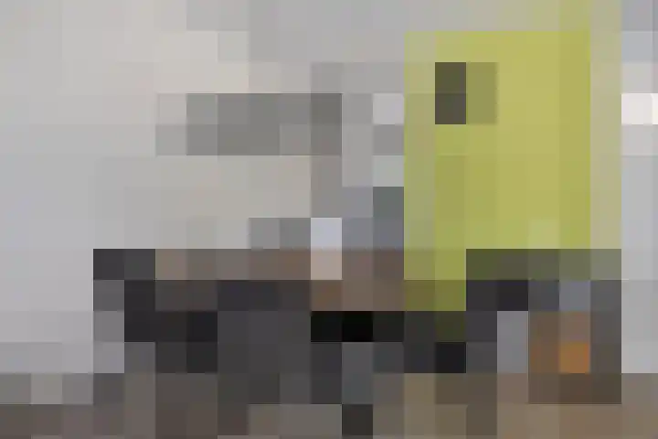 Nijstukken 130 Assen thumbnail 13