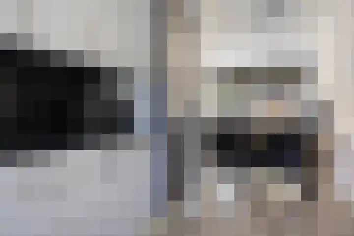 Nijstukken 130 Assen thumbnail 15