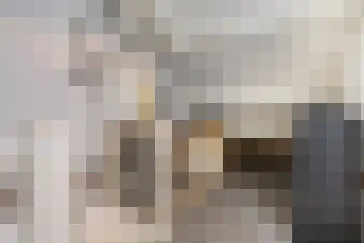 Nijstukken 130 Assen thumbnail 23