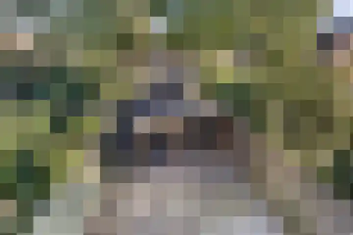 Nijstukken 130 Assen thumbnail 26