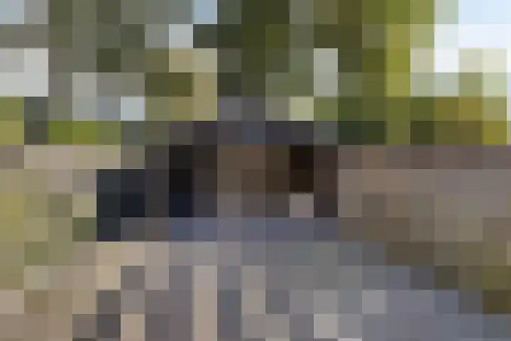 Nijstukken 130 Assen thumbnail 27