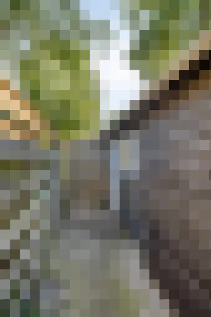 Nijstukken 130 Assen thumbnail 31