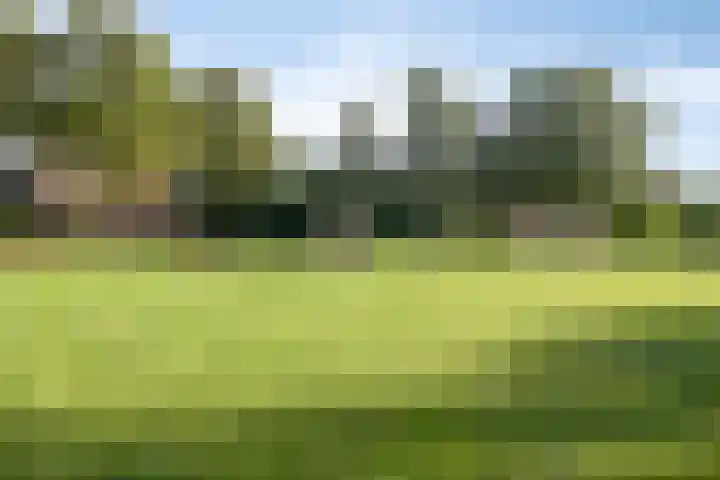 Nijstukken 130 Assen thumbnail 34