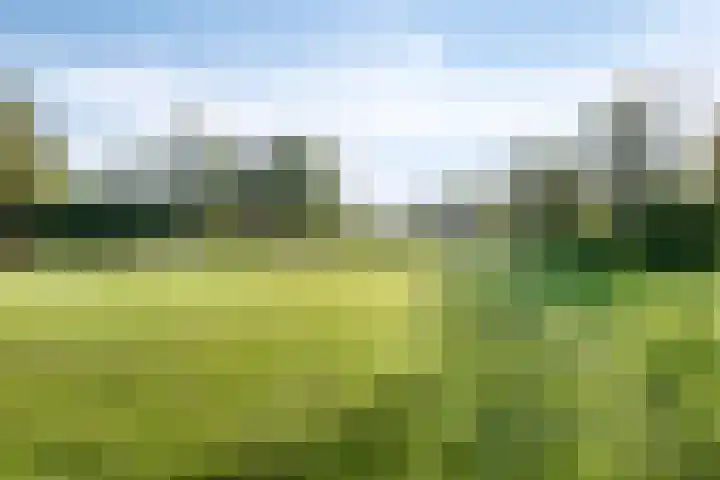 Nijstukken 130 Assen thumbnail 35