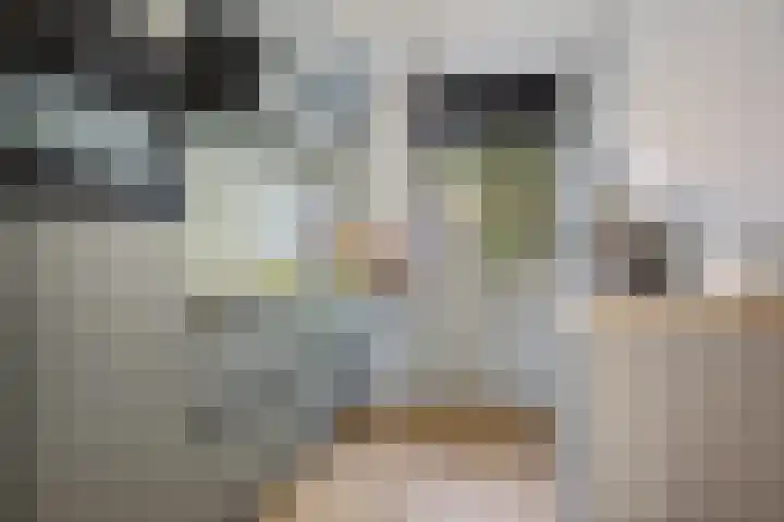 Nijstukken 132 Assen thumbnail 15