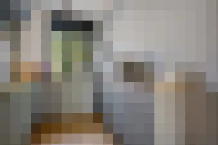 Nijstukken 132 Assen thumbnail 16