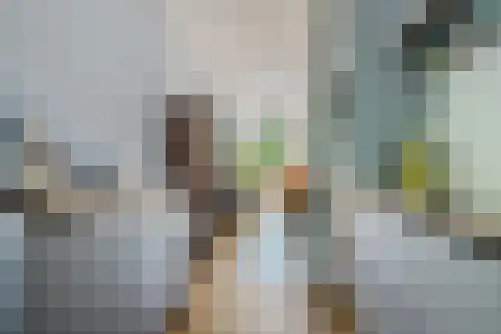 Nijstukken 132 Assen thumbnail 18