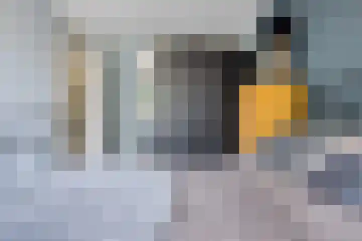 Nijstukken 132 Assen thumbnail 26