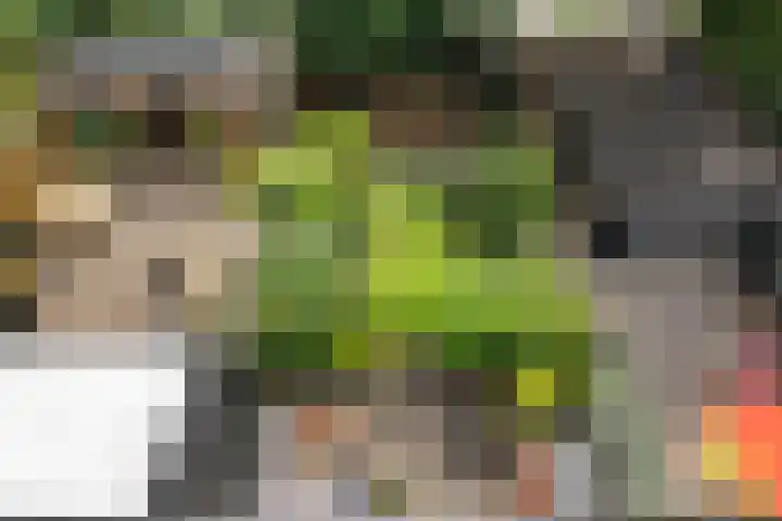 Nijstukken 132 Assen thumbnail 28