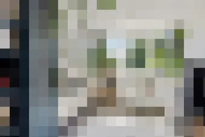 Nijstukken 132 Assen thumbnail 38