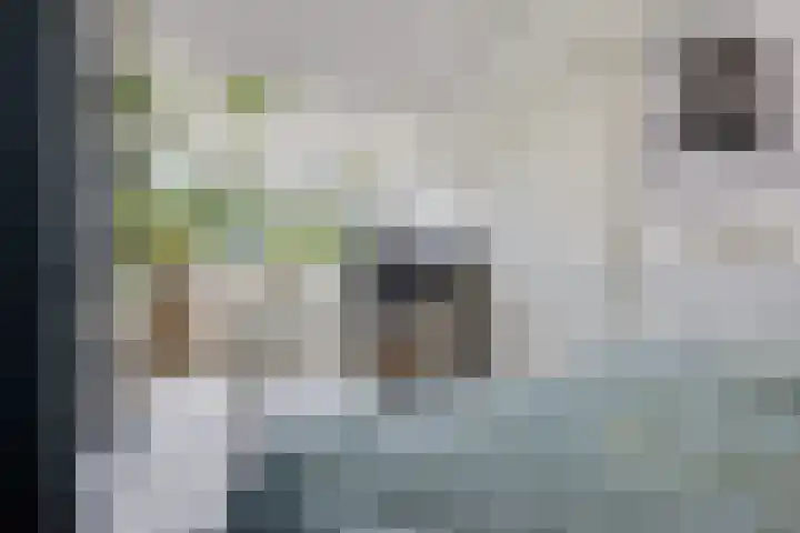 Nijstukken 132 Assen thumbnail 41