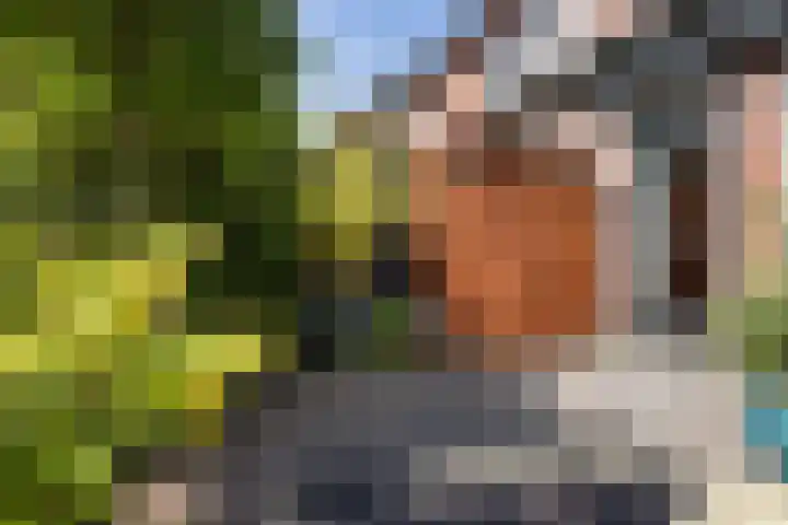 Nijstukken 132 Assen thumbnail 42