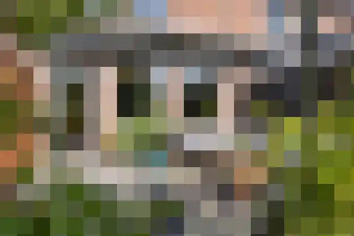Nijstukken 132 Assen thumbnail 45