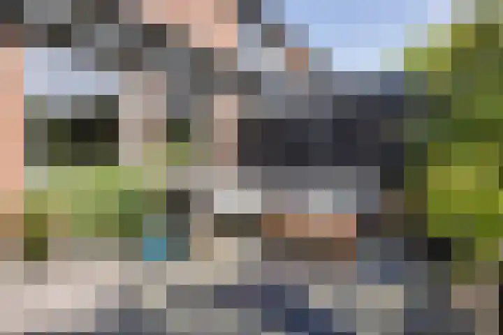 Nijstukken 132 Assen thumbnail 46