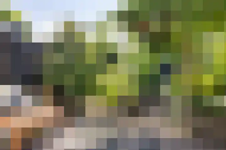 Nijstukken 132 Assen thumbnail 47