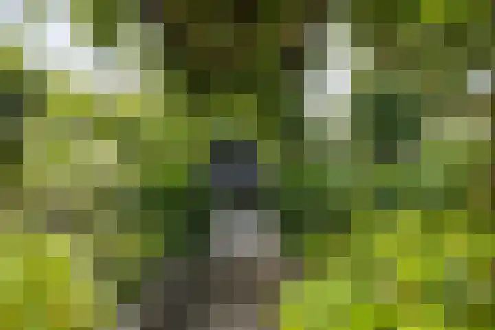 Nijstukken 132 Assen thumbnail 48