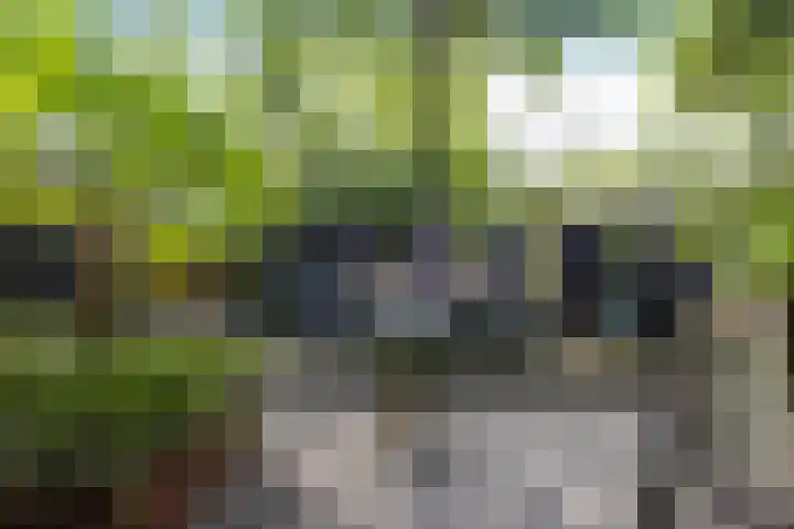 Nijstukken 132 Assen thumbnail 49