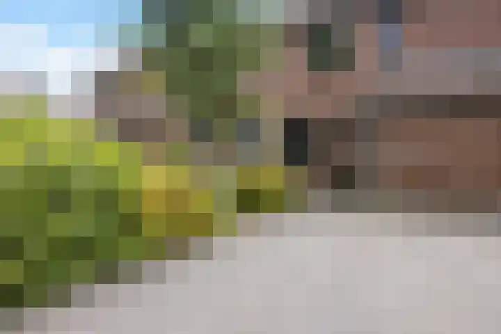 Nijstukken 132 Assen thumbnail 5