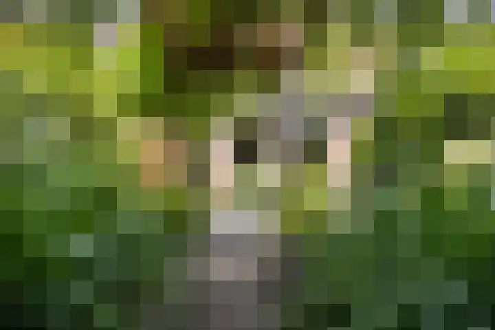 Nijstukken 132 Assen thumbnail 50