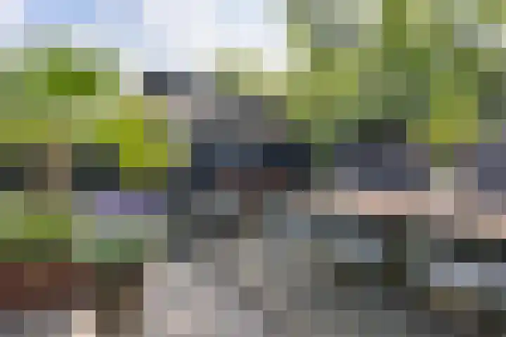 Nijstukken 132 Assen thumbnail 51