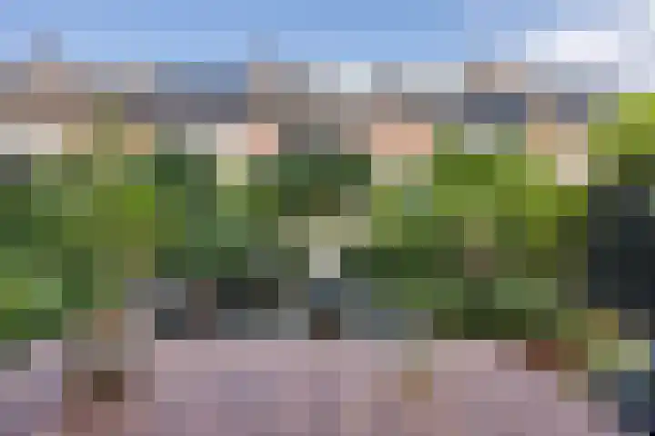 Nijstukken 132 Assen thumbnail 52