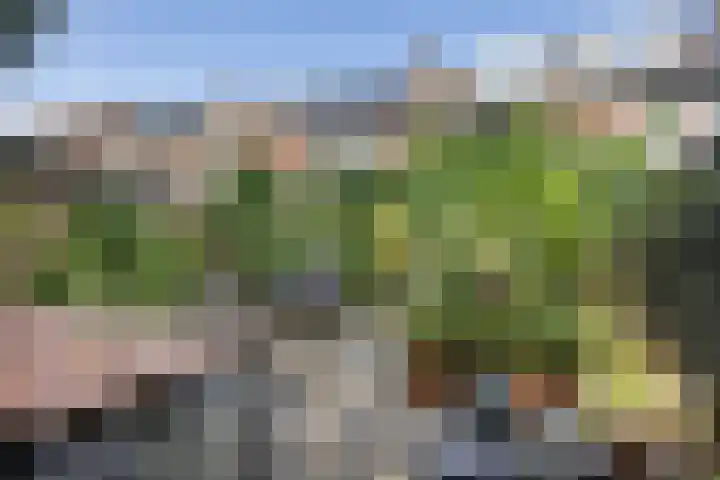 Nijstukken 132 Assen thumbnail 54