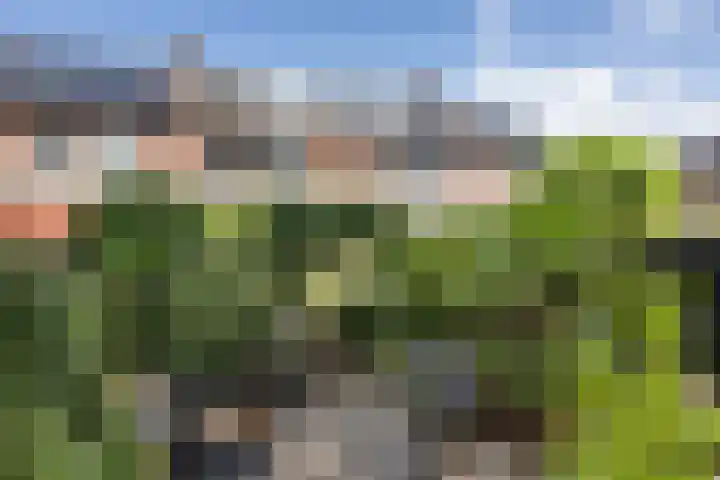 Nijstukken 132 Assen thumbnail 56
