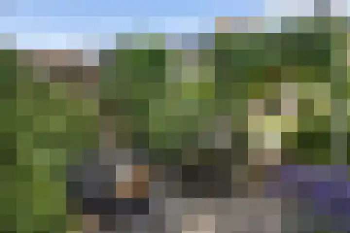 Nijstukken 132 Assen thumbnail 57